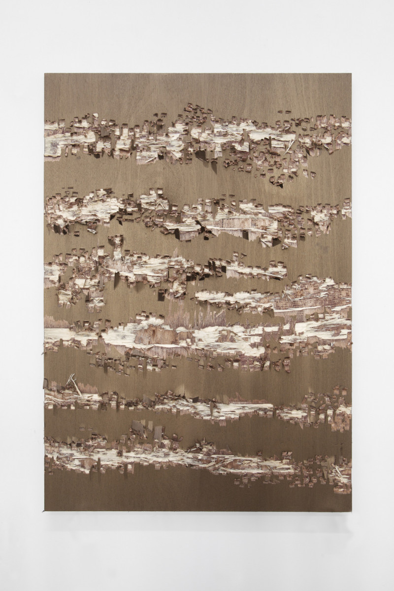 IsabelleFerreira_Subtraction(ara M275)_2013_©IsabelleGiovacchini